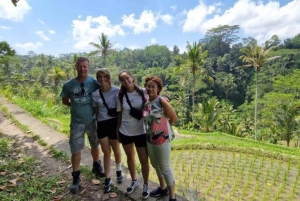 Bali: Ulu Petanu-vattenfallet, risterrass och Calo Village