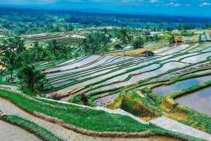 Bali : Visite du temple Ulun Danu Beratan et des rizières en terrasses de l'UNESCO