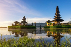 Bali: Ulun Danu Beratan Temple, Wanagiri & Jatiluwih tour