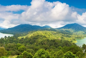 Bali: Ulun Danu Beratan Temple, Wanagiri & Jatiluwih tour