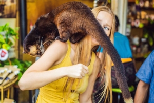 Bali: Ulun Danu Beratan Temple, Wanagiri & Jatiluwih tour