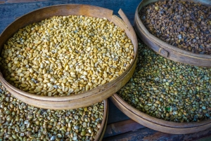 Bali: Ulun Danu Beratan Temple, Wanagiri & Jatiluwih tour