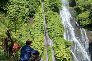 Bali: Ulun Danu Beratan Temple, Waterfall & lake view tour