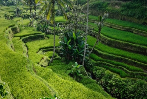 Bali: Ulun Danu Temple, Waterfall and Secret Garden Tour
