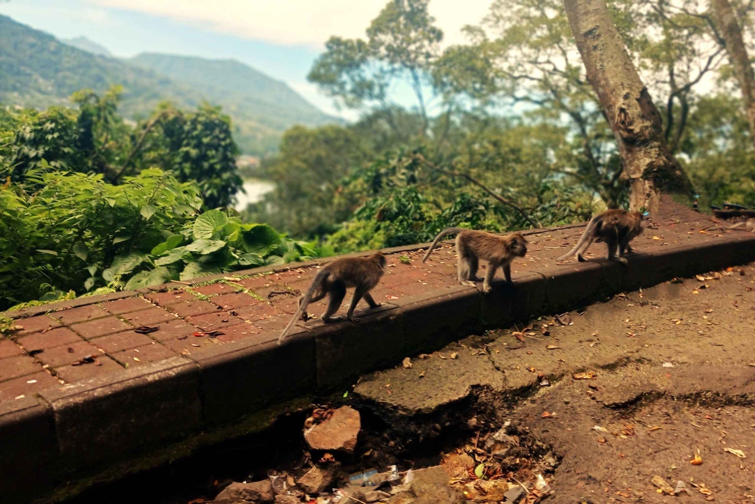 Bali: Ulun Danu Temple, Waterfall, and Twin Lakes Tour