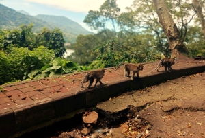 Bali: Ulun Danu Temple, Waterfall, and Twin Lakes Tour