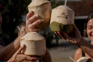 Bali Uluwatu Tour: Beaches, Cliffs, Temple, Fire Dance & BBQ