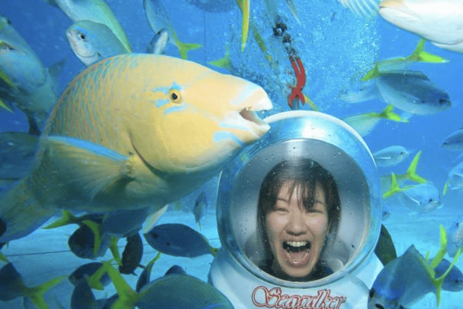 Bali: Paseo Submarino, Templo de Uluwatu y Danza Kecak