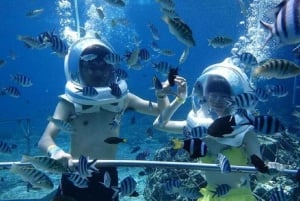 Bali: Underwater Sea Walking Experience & Uluwatu Temple
