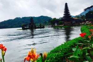Patrimônios da Unesco Bali: Excursão Particular Guiada 1 Dia