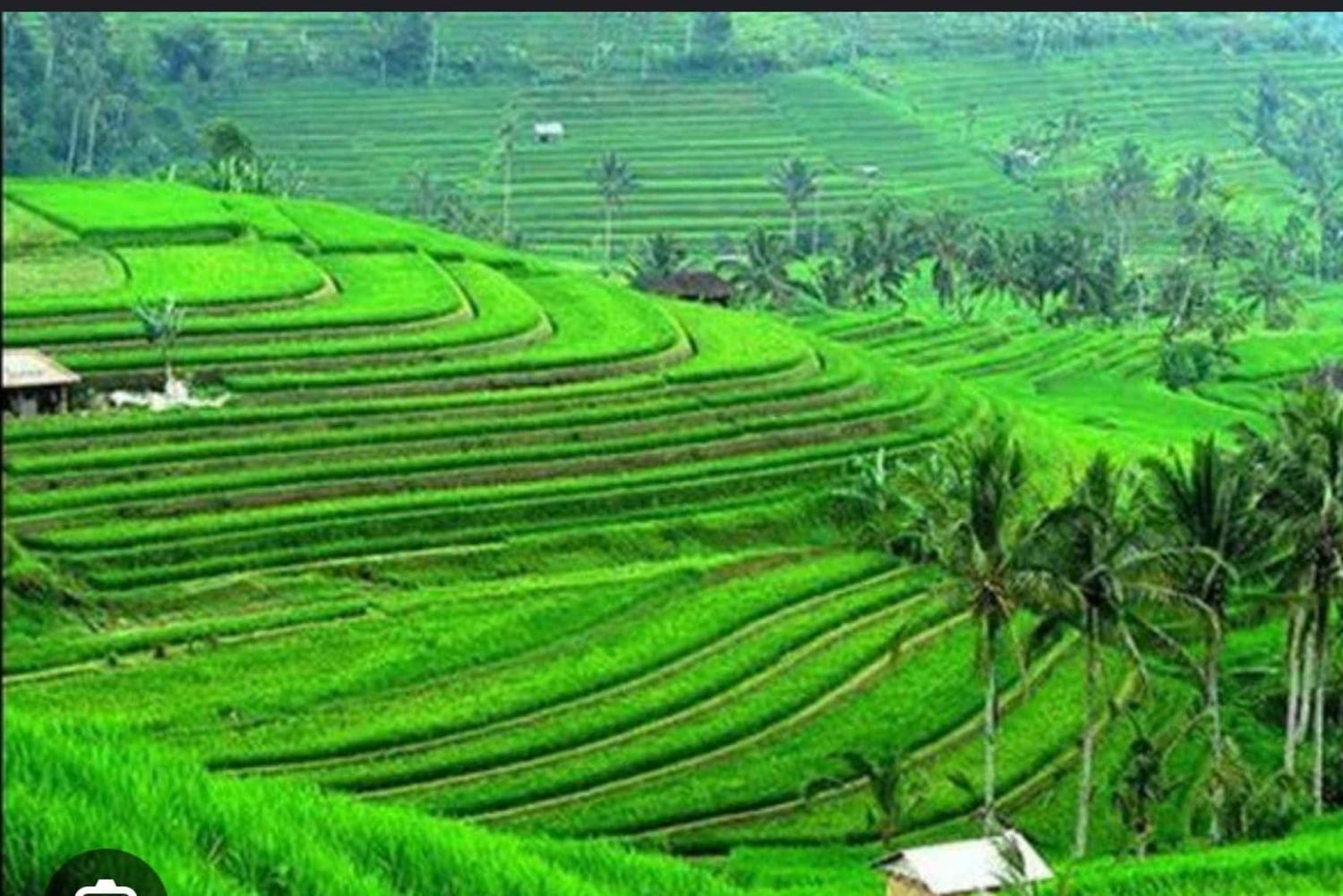 バリ島：バトゥール山、パティル・クル寺院、ジャティルウィのユネスコ世界遺産ツアーをご案内いたします
