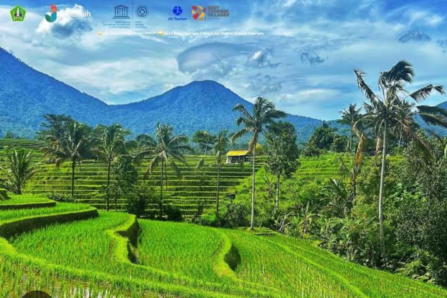 バリ島：バトゥール山、パティル・クル寺院、ジャティルウィのユネスコ世界遺産ツアーをご案内いたします