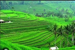 バリ島：バトゥール山、パティル・クル寺院、ジャティルウィのユネスコ世界遺産ツアーをご案内いたします