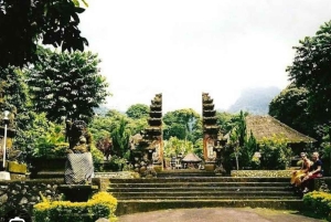 バリ島：バトゥール山、パティル・クル寺院、ジャティルウィのユネスコ世界遺産ツアーをご案内いたします
