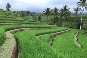 Wycieczka UNESCO na Bali: Ulundanu, Taman ayun i świątynia Tanah lot