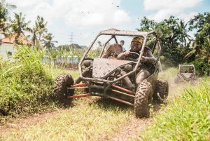 Bali: avventura in UTV e bagno nel fiume presso una cascata naturale