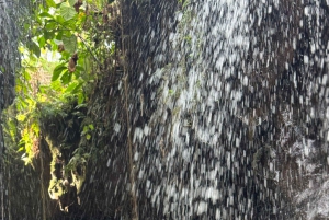 Bali: avventura in UTV e bagno nel fiume presso una cascata naturale
