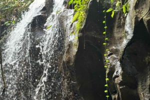 Bali: avventura in UTV e bagno nel fiume presso una cascata naturale