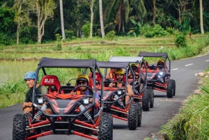 Bali: UTV Buggy and Zipline Adventure with Meal