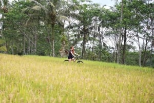 Bali: Landsbysykling, gårdstur og elve-tubing i Ubud-området