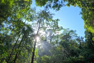 Bali: Landsbysykling, gårdstur og elve-tubing i Ubud-området