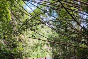 Bali: Landsbysykling, gårdstur og elve-tubing i Ubud-området