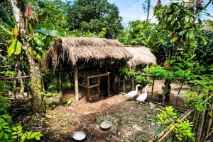 Solnedgang i en landsby på Bali – Jamu, lokale søde sager og middag