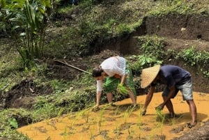 Bali : coucher de soleil, jamu, douceurs locales et dîner
