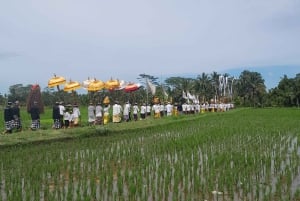 Bali: Landsbytur med kokosnøttolje og sjokoladefabrikk