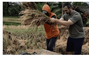 Bali: Landsbytur med kokosnøttolje og sjokoladefabrikk