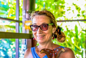 Bali: Vintage Cars, Timeless Craft, Elegance & Creative Soul