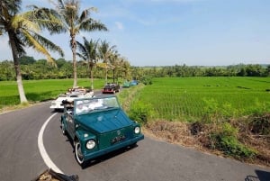 Bali: Vintage VW Jeep Countryside Safari
