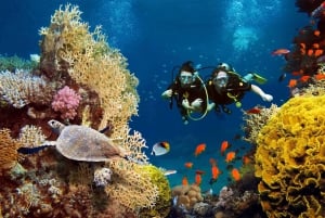 Bali Vip: Sea Walker Under Water Experience