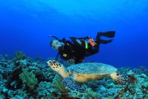 Bali Vip: Sea Walker Under Water Experience