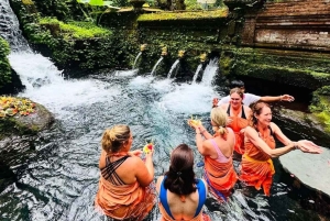 Bali: Besuche zwei spektakuläre Wasserfälle & heilige Tempel