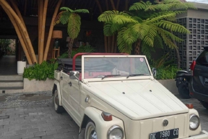 Bali Volkswagen Safari and Ubud Village Tour