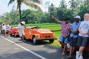 Bali: tour di Ubud in VW decappottabile e avventura di rafting