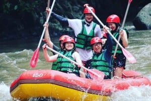 Bali: tour di Ubud in VW decappottabile e avventura di rafting