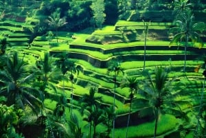 Bali Water Sports and Kintamani Tour Packages