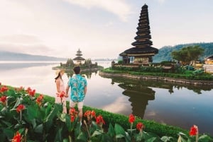 Bali: Water Temple, Waterfalls and Unesco Rice Terrace Tour