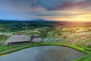 Bali: Water Temple, Waterfalls and Unesco Rice Terrace Tour