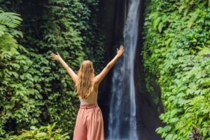 Bali: rondleiding watertempel, watervallen en UNESCO-rijstterrassen