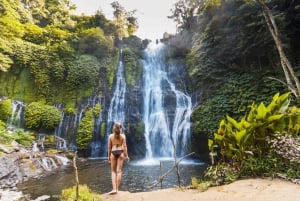 Bali: rondleiding watertempel, watervallen en UNESCO-rijstterrassen