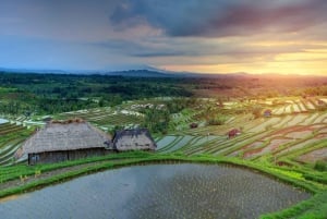 Bali: rondleiding watertempel, watervallen en UNESCO-rijstterrassen