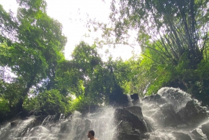 Najlepsze wodospady, świątynia świętej wody i tarasy ryżowe