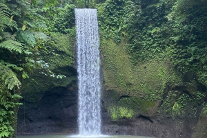 Najlepsze wodospady, świątynia świętej wody i tarasy ryżowe
