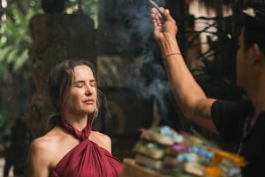 Bali: Wasserfall, Kaffeeplantage & Reisterrassentour