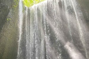 Balin vesiputousretki: Goa Raja, Tukad Cepung ja Tibumana