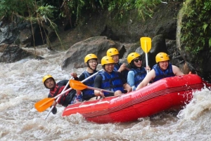 Bali: Waterval Gorilla Grot ATV & Ubud Rafting Trip & Lunch