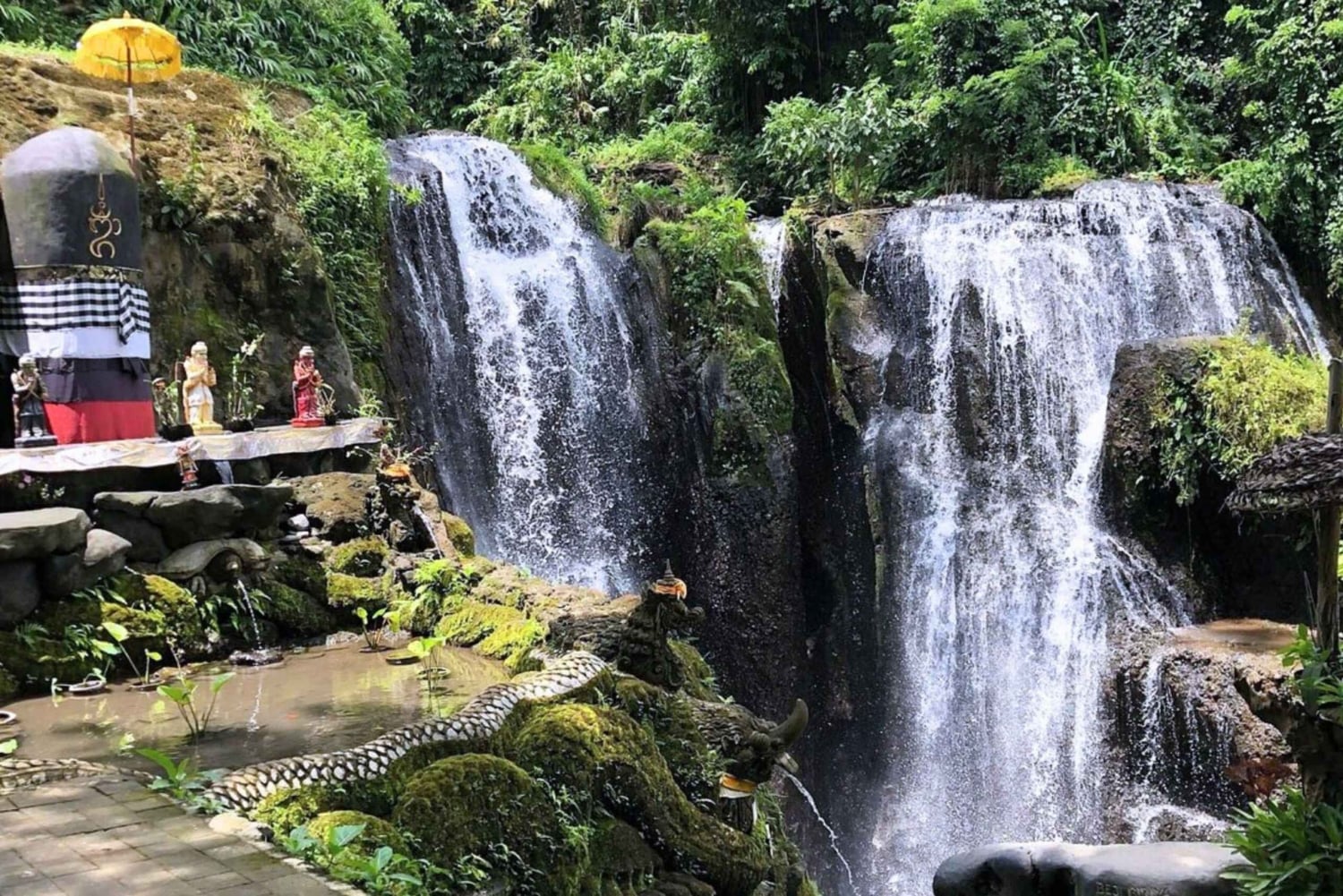 バリ島：滝での浄化儀式とコーヒーツアーをご案内いたします
